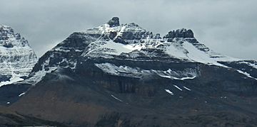 Glacier Skywalk Mushroom Peak.jpg