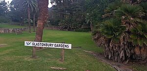 Glastonbury Gardens, Austinmer