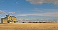 Grain elevator in Skiff Alberta