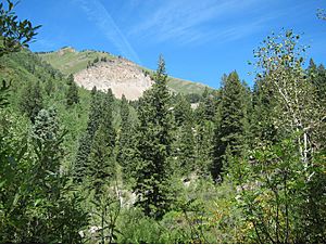 Grandview Peak Landslide