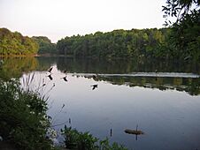 The lake and parkland of Albert S Attick Lake Park