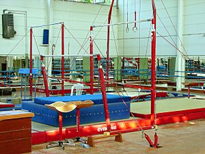 Gymnastics-Facility-07888-nevit