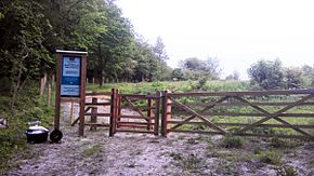 signage and a wooden gate in woodland