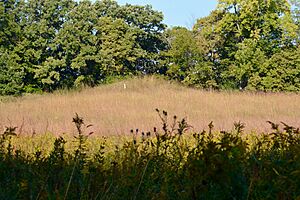 Image Mound at Albany Mounds