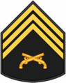 Insignia PM P3