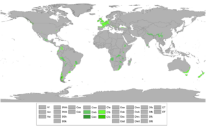 Koppen World Map Cfb Cfc Cwb Cwc