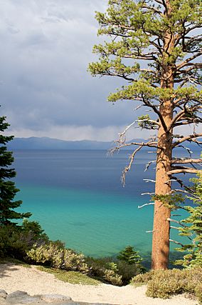 Lake tahoe bliss state park 2.jpg