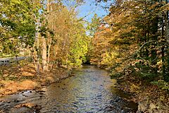 Lamington River, Pottersville, NJ