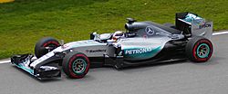 Lewis Hamilton 070615.jpg