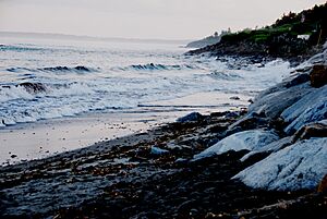 Looking South To Prout's Neck - panoramio