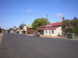 Main street Nobby
