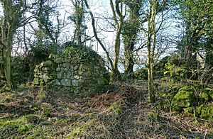 Martnaham Castle ruins, East Ayrshire