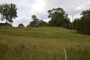 Maulden Church Meadow 1
