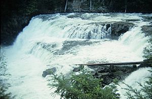 McDougall Falls Murtle River
