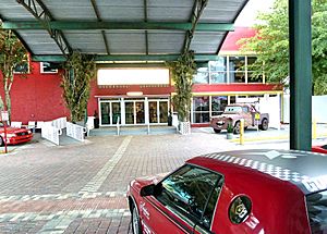 Miami Car Museum