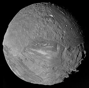 Miranda - January 24 1986 (30906319004)