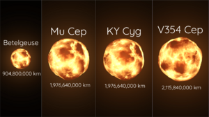 Mukyv354