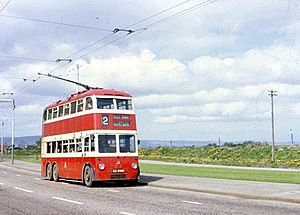 Old Trolley Bus - geograph.org.uk - 351325