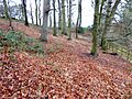 One Barrow Plantation 3