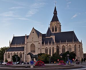 Onze-Lieve-Vrouw van Goede Hoopkerk, Vilvoorde (DSCF0943)