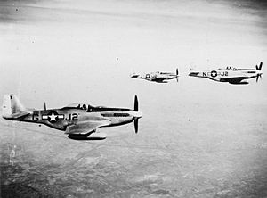P-51 Mustangs (479th FG)