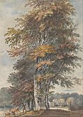 Paul Sandby - Landscape with beech trees and man driving cattle and sheep - Google Art Project