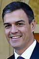 Pedro Sánchez 2018b (cropped)