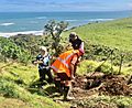 Planting of Whāingaroa Harbour Care's 2 millionth tree