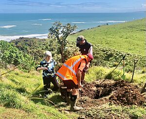 Planting of Whāingaroa Harbour Care's 2 millionth tree