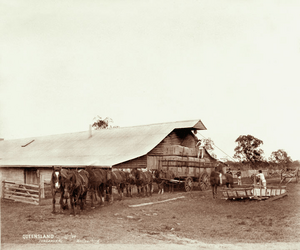 Queensland State Archives 4005 Wool carting and shed Jondaryan 2 November 1894