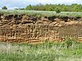 Red House Farm Pit 3