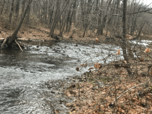 Rock Brook in Skillman Park