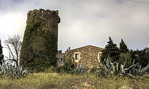 Roses - Torre del Sastre