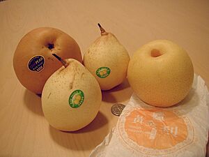 Shinko Yali and Whangkeum