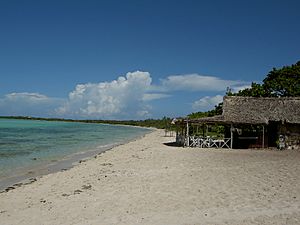 White sand beach in Cayo Coco