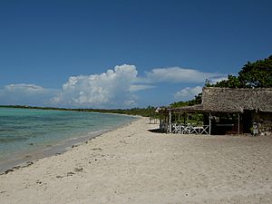 Cayo Coco Facts for Kids