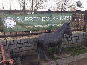 Surrey Docks farm 2014-03-06 12-37.jpg