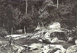 Templeton's Crossing Kokoda Track 1944 (AWM image 072348)