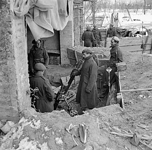 The British Army in Italy 1945 NA21882