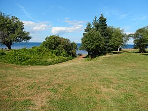 Tidnish Dock 01