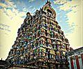 Tirunelveli Nellaiappar Temple 1
