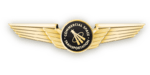 US - FAA Astronaut Wings version 2.png