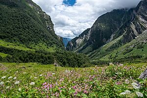 Valley of flowers national park, Uttarakhand, India 03 (edit)