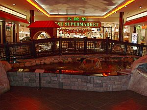 'Chinatown' section of West Edmonton Mall (2005)