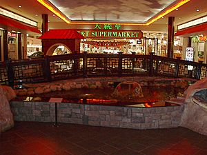 West Edmonton Mall Submarine Ride Accident
