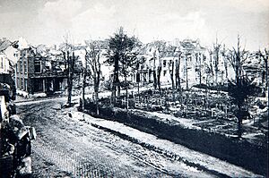 0 Nieuport - Novembre 1917