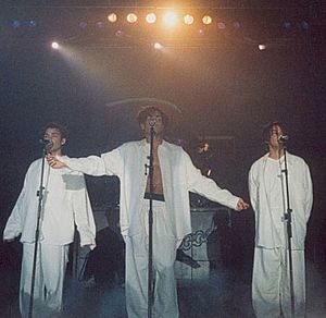 3T in performance (Hannover, 1996)