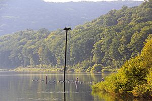 Allegheny Reservoir within Corydon Township