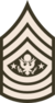 Army-USA-OR-09a (Army greens).svg
