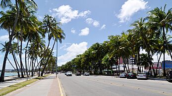 Avenida Entrecoqueiros